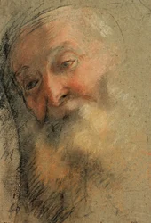 Head of an Old Bearded Man